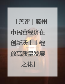 善评｜滕州市民营经济在创新沃土上绽放高质量发展之花