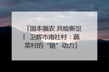 固本强农 共绘新景 ︳卫辉市南社村：蔬菜村的“链”动力