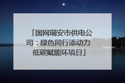 国网瑞安市供电公司：绿色同行添动力 低碳赋能环境日