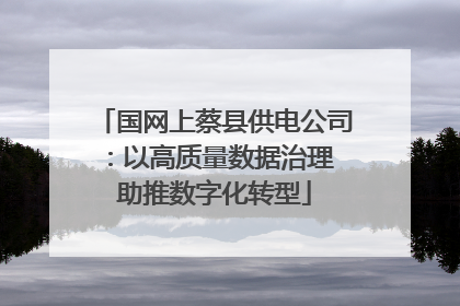 国网上蔡县供电公司：以高质量数据治理 助推数字化转型