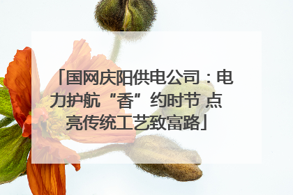 国网庆阳供电公司：电力护航“香”约时节 点亮传统工艺致富路