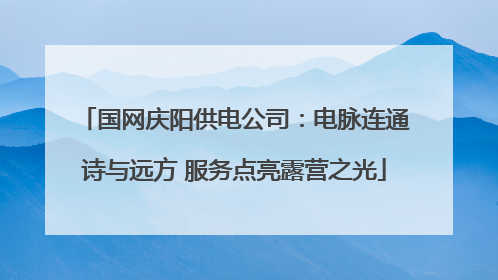 国网庆阳供电公司：电脉连通诗与远方 服务点亮露营之光