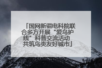 国网新疆电科院联合多方开展“爱鸟护线”科普交流活动 共筑鸟类友好城市