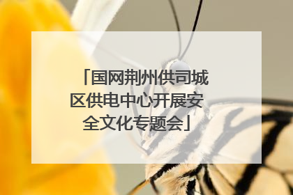 国网荆州供司城区供电中心开展安全文化专题会