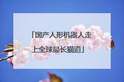 国产人形机器人走上全球最长猫道