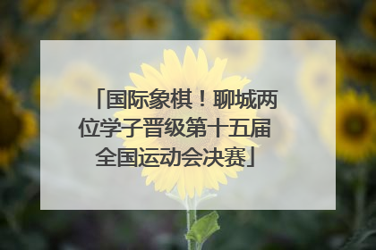 国际象棋！聊城两位学子晋级第十五届全国运动会决赛
