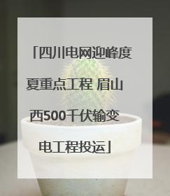 四川电网迎峰度夏重点工程 眉山西500千伏输变电工程投运