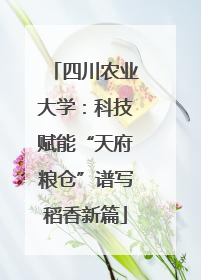 四川农业大学：科技赋能“天府粮仓”谱写稻香新篇