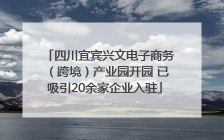 四川宜宾兴文电子商务（跨境）产业园开园 已吸引20余家企业入驻