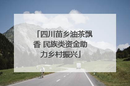四川苗乡油茶飘香 民族类资金助力乡村振兴
