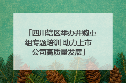 四川辖区举办并购重组专题培训 助力上市公司高质量发展
