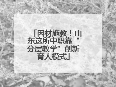 因材施教！山东这所中职靠“分层教学”创新育人模式