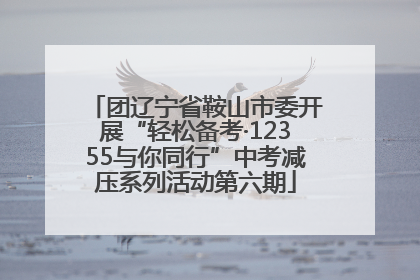 团辽宁省鞍山市委开展“轻松备考·12355与你同行”中考减压系列活动第六期