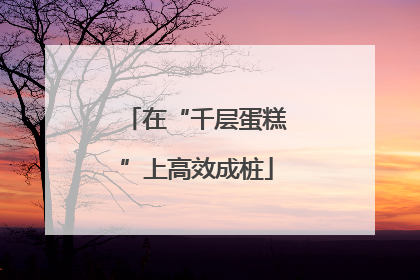 在“千层蛋糕”上高效成桩