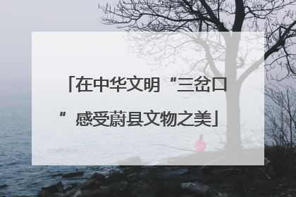 在中华文明“三岔口”感受蔚县文物之美