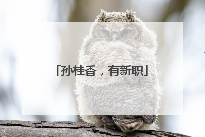孙桂香，有新职