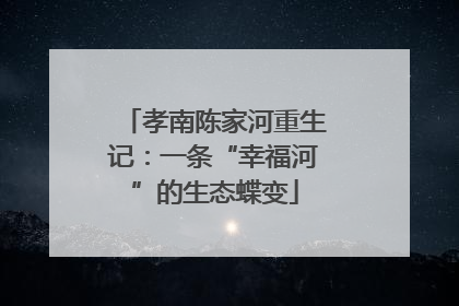 孝南陈家河重生记：一条“幸福河”的生态蝶变