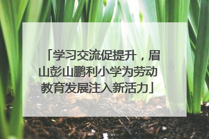 学习交流促提升，眉山彭山鹏利小学为劳动教育发展注入新活力