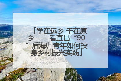 学在远乡 干在原乡——看宜昌“90”后海归青年如何投身乡村振兴实践