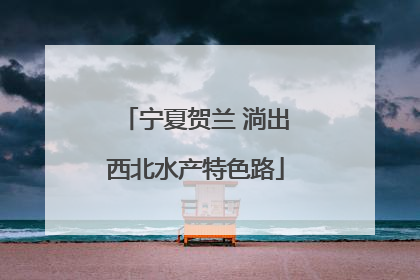 宁夏贺兰 淌出西北水产特色路