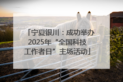 宁夏银川：成功举办2025年“全国科技工作者日”主场活动