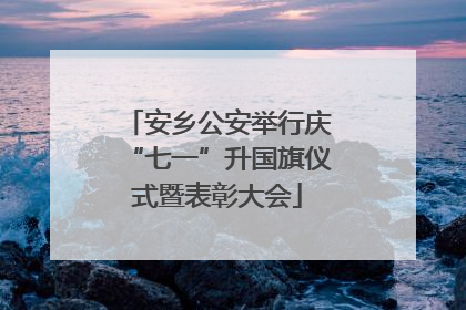 安乡公安举行庆“七一”升国旗仪式暨表彰大会