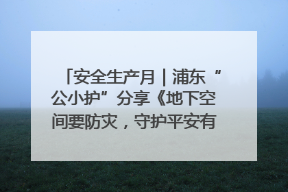 安全生产月｜浦东“公小护”分享《地下空间要防灾，守护平安有我在》安全谣