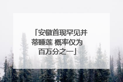 安徽首现罕见并蒂睡莲 概率仅为百万分之一