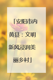安阳市内黄县：文明新风浸润美丽乡村