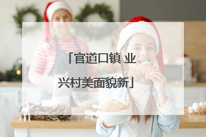 官道口镇 业兴村美面貌新
