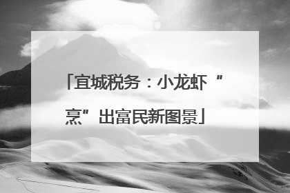 宜城税务：小龙虾“烹”出富民新图景