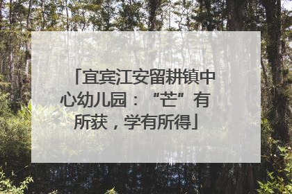 宜宾江安留耕镇中心幼儿园：“芒”有所获，学有所得