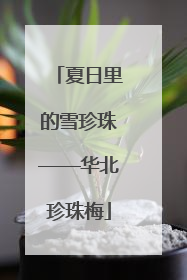 夏日里的雪珍珠——华北珍珠梅