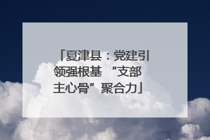 夏津县：党建引领强根基 “支部主心骨”聚合力