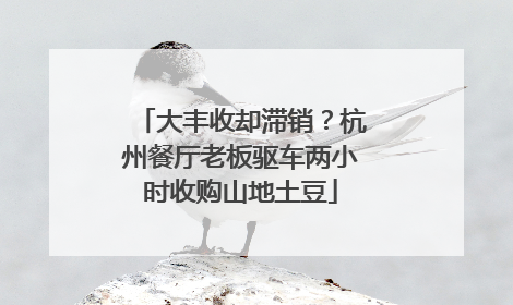 大丰收却滞销？杭州餐厅老板驱车两小时收购山地土豆