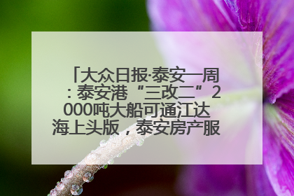 大众日报·泰安一周：泰安港“三改二”2000吨大船可通江达海上头版，泰安房产服务改革经验全省推广