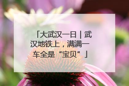 大武汉一日｜武汉地铁上，满满一车全是“宝贝”