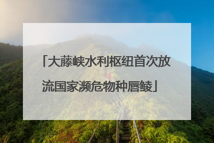 大藤峡水利枢纽首次放流国家濒危物种唇鲮