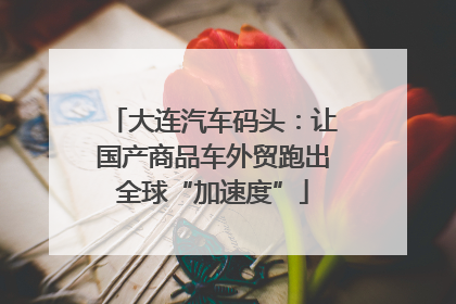大连汽车码头：让国产商品车外贸跑出全球“加速度”