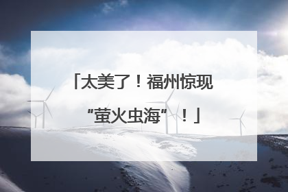 太美了！福州惊现“萤火虫海”！