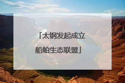 太钢发起成立船舶生态联盟