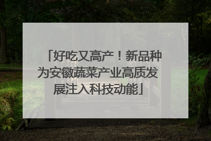 好吃又高产！新品种为安徽蔬菜产业高质发展注入科技动能
