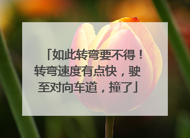 如此转弯要不得！转弯速度有点快，驶至对向车道，撞了