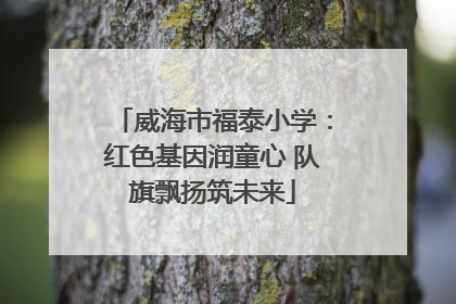 威海市福泰小学：红色基因润童心 队旗飘扬筑未来