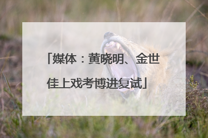 媒体：黄晓明、金世佳上戏考博进复试