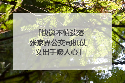 快递不慎遗落 张家界公交司机仗义出手暖人心