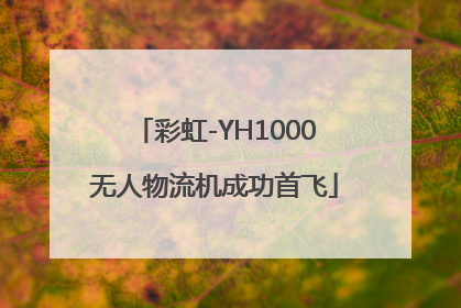 彩虹-YH1000无人物流机成功首飞