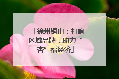 徐州铜山：打响区域品牌，助力“杏”福经济