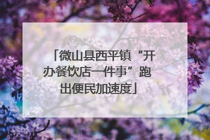 微山县西平镇“开办餐饮店一件事”跑出便民加速度