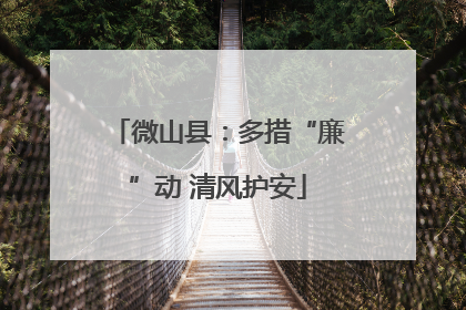 微山县：多措“廉”动 清风护安